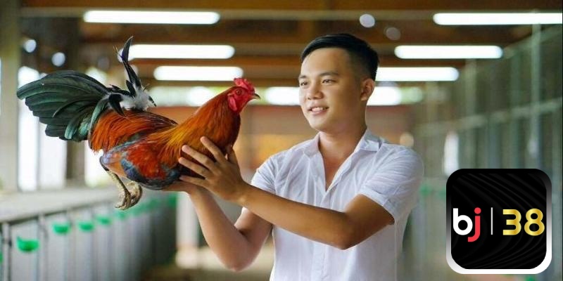 Kiểm tra chiến kê trước khi thi đấu